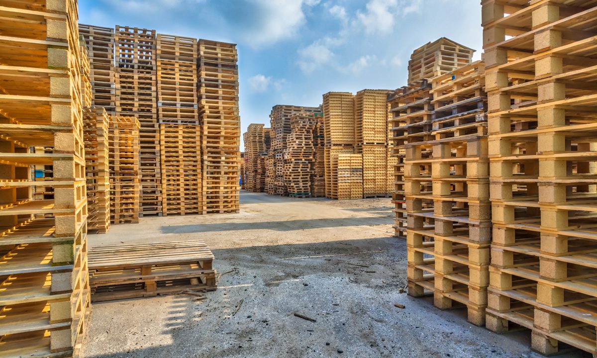 What is ISPM 15 & Why is it a Manufacturing Requirement on all Wood Pallets / Lumber for Export?